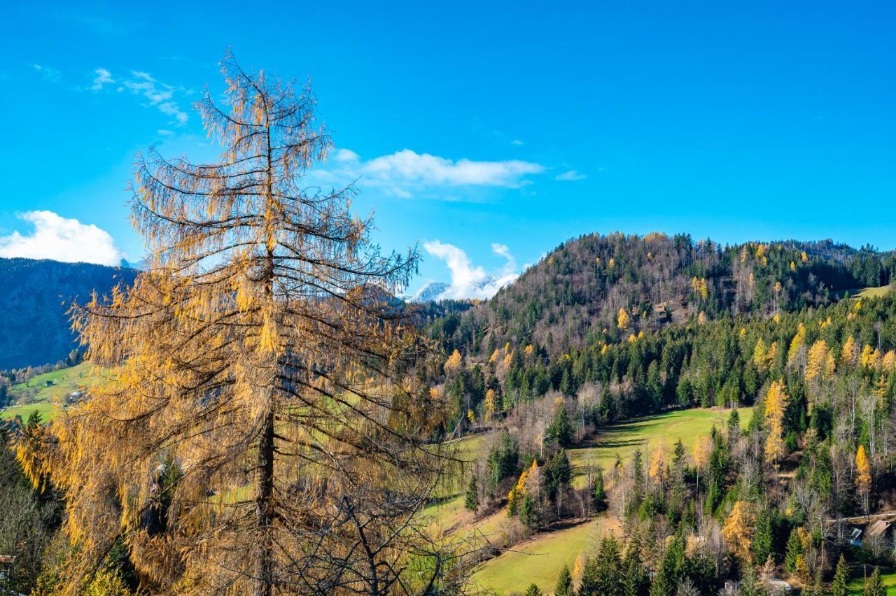 Apartments Farm House Uric Jesenice Buitenkant foto