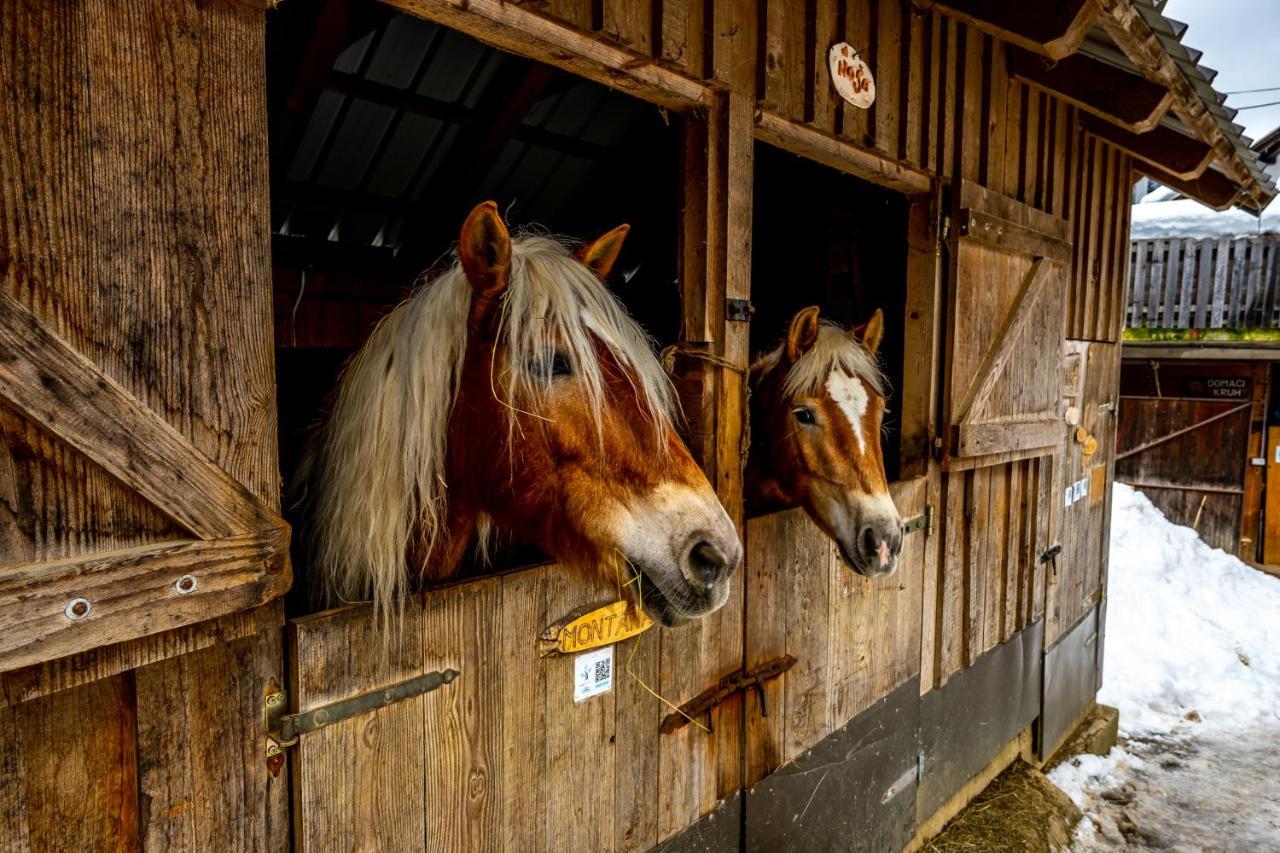Apartments Farm House Uric Jesenice Buitenkant foto